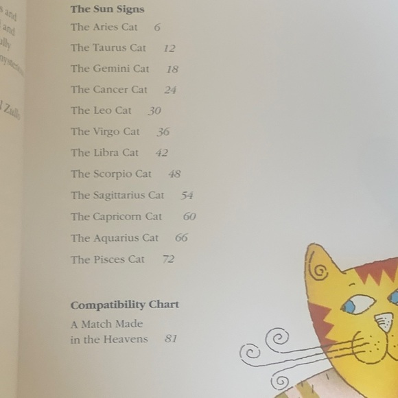 Colorful Cat-Themed Book Collection - Picture 8 of 9